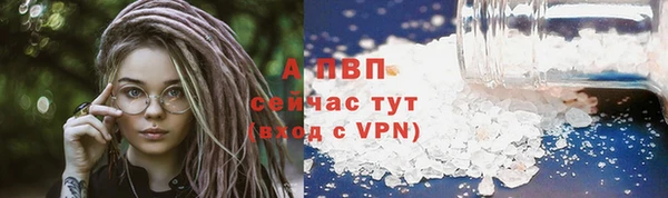 ECSTASY Майский