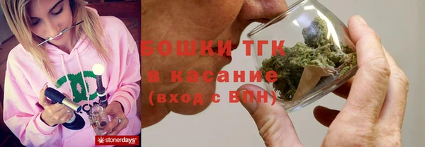 ECSTASY Майский