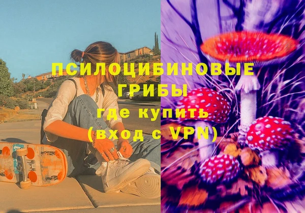 ECSTASY Майский