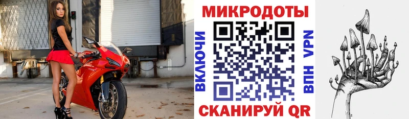 Купить закладки  Карабулак  Псилоцибиновые грибы мицелий 